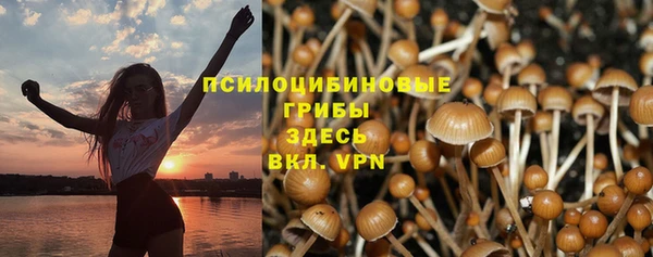прущий лед Михайловск
