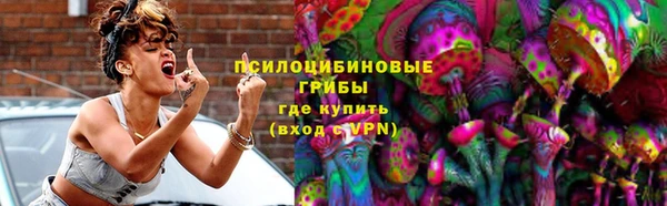 стаф Мегион