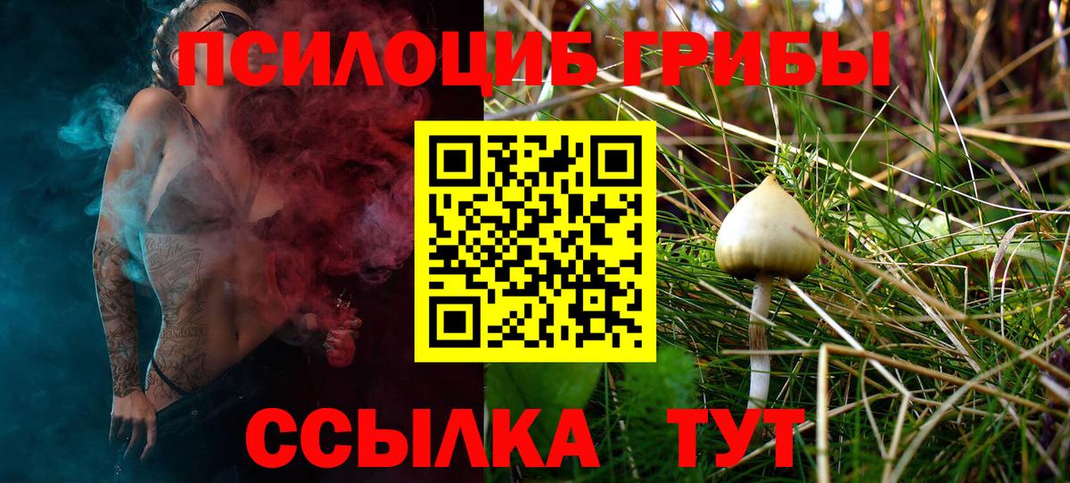 Нижний Тагил  Псилоцибиновые грибы Magic Shrooms  Вход с VPN 