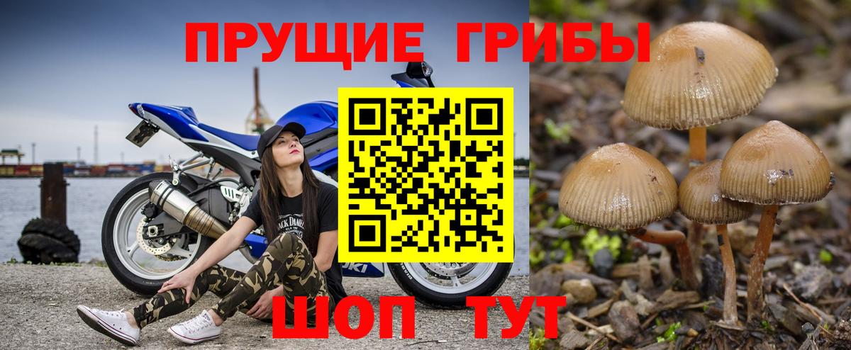 ЭКСТАЗИ  Гашиш  Вход с VPN  Codein  МДМА  Меф МЯУ МЯУ   Мефедрон  Alpha-PVP СОЛЬ   Нижний Тагил  МАРИХУАНА  КОКАИН 