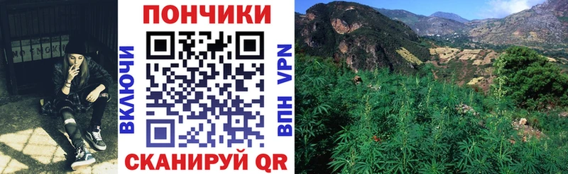 ОМГ ОМГ рабочий сайт  Нижний Тагил  Бошки марихуана сатива 